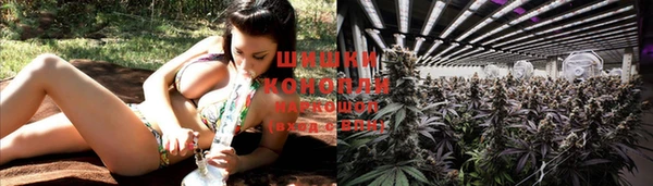 круглые Заводоуковск