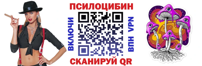 купить наркотики сайты  Новошахтинск  shop клад  Галлюциногенные грибы Psilocybine cubensis 